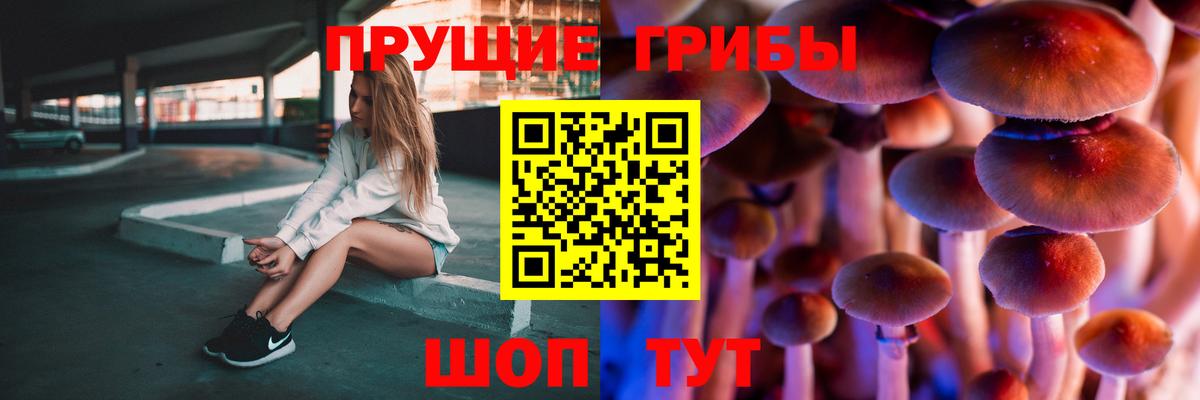 Ступино  Псилоцибиновые грибы Magic Shrooms  Вход с VPN 